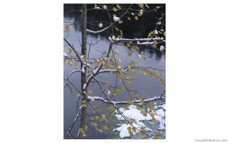 Пзим-03-1-005