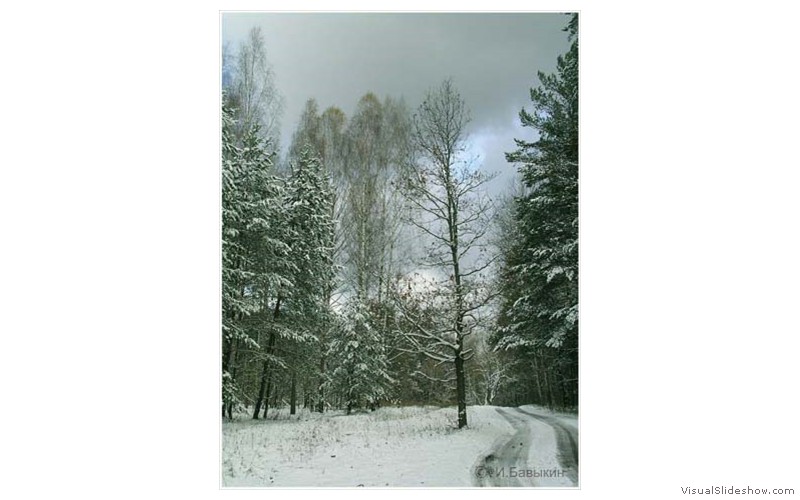 Пзим-03-1-036