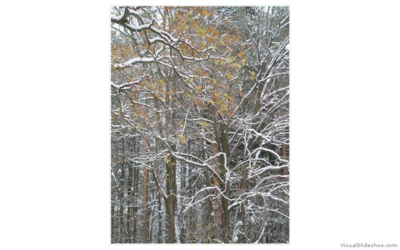 Пзим-03-1-037