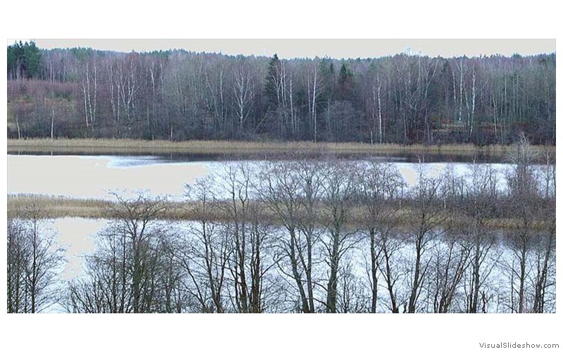 П-зима-03-3-459b