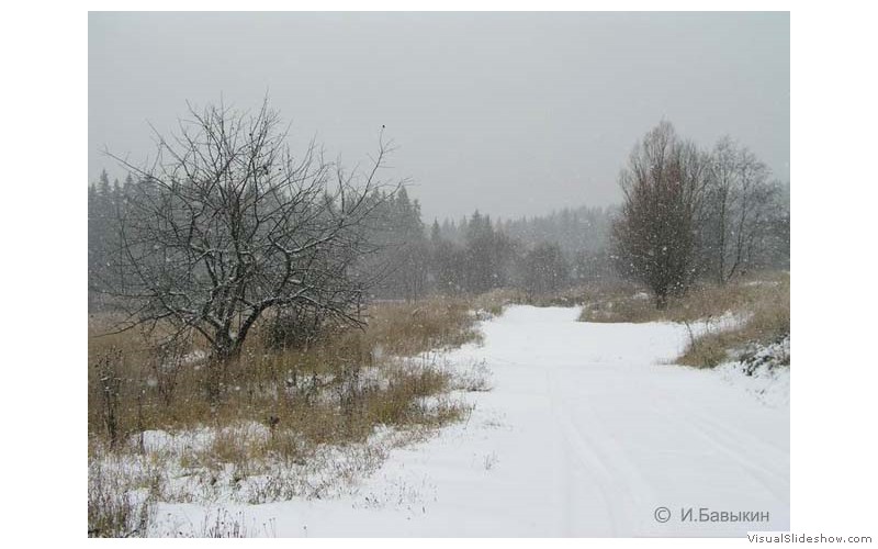П-зима-03-5-009
