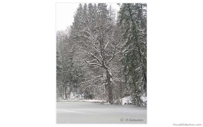П-зима-03-5-159