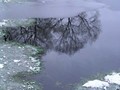 Пзим-03-1-006