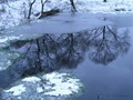 Пзим-03-1-007