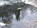 Пзим-03-1-009