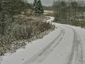 Пзим-03-1-016
