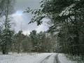 Пзим-03-1-025