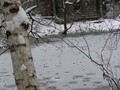 Пзим-03-1-040