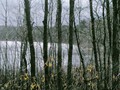 Пзим-03-1-049