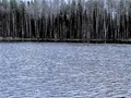 Пзим-03-1-050
