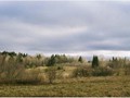 Пзим-03-1-053