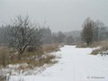 П-зима-03-5-009
