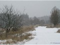 П-зима-03-5-010