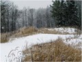 П-зима-03-5-015