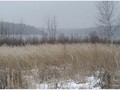 П-зима-03-5-058b