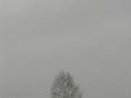 П-зима-03-5-085