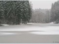 П-зима-03-5-136b