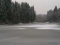 П-зима-03-5-137