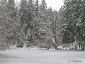 П-зима-03-5-178