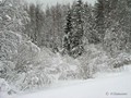 P1054142