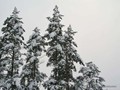 P1054155