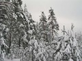 P1054157