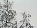 P1054164