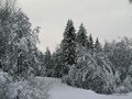 P1054168