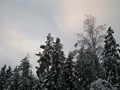 P1054169