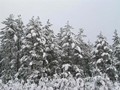 P1054170