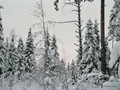 P1064196
