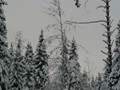 P1064197