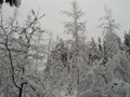 P1064220
