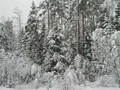 Zima-04-016