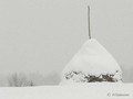 Zima-04-058