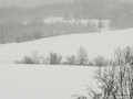 Zima-04-064