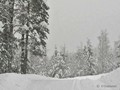 Zima-04-081