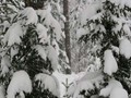 Zima-04-107