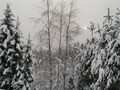 Zima-04-200