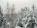 Zima-04-204