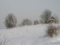 Zima-04-278