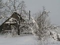 Zima-04-281