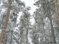 Zima-04-476