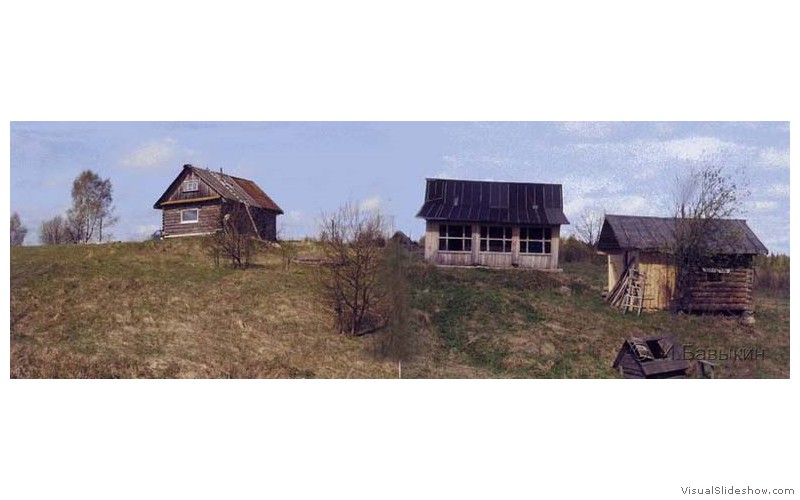 Bubo-1