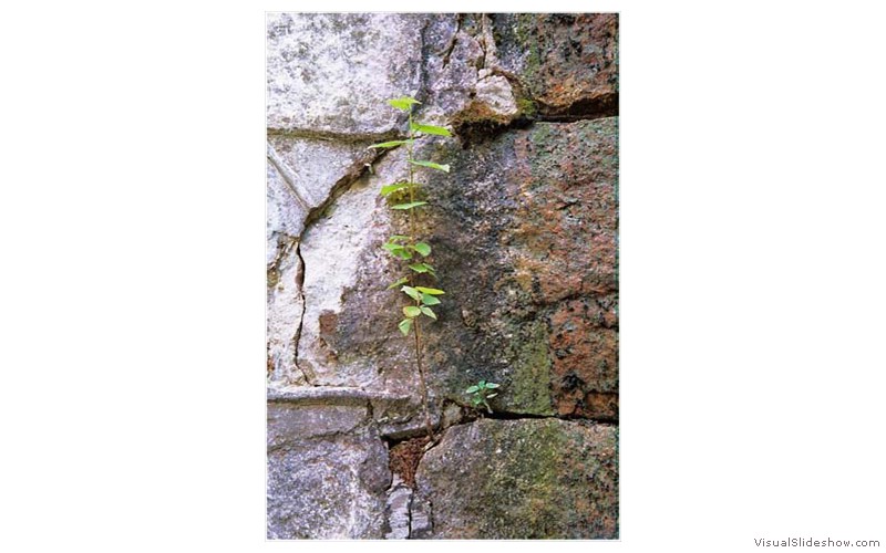 Image0032