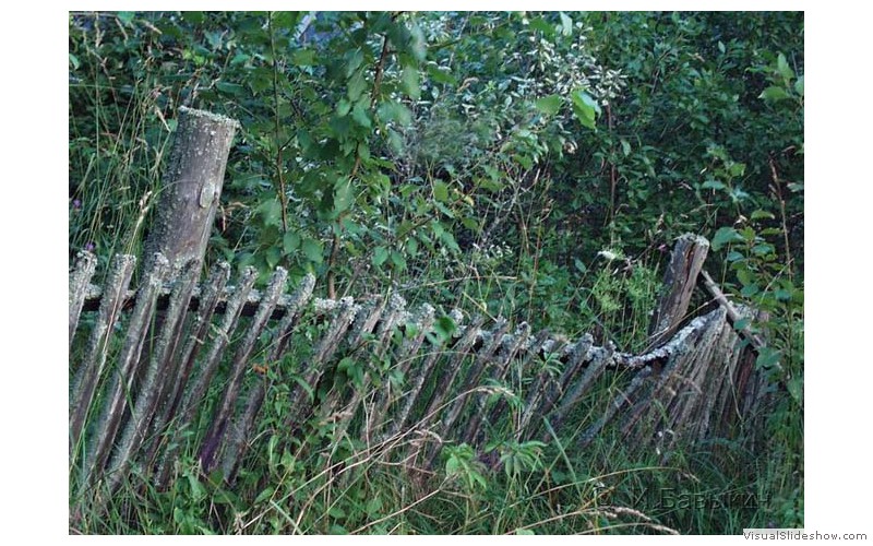 P7250010
