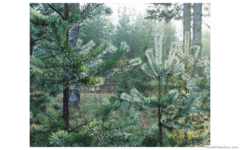 P7285308