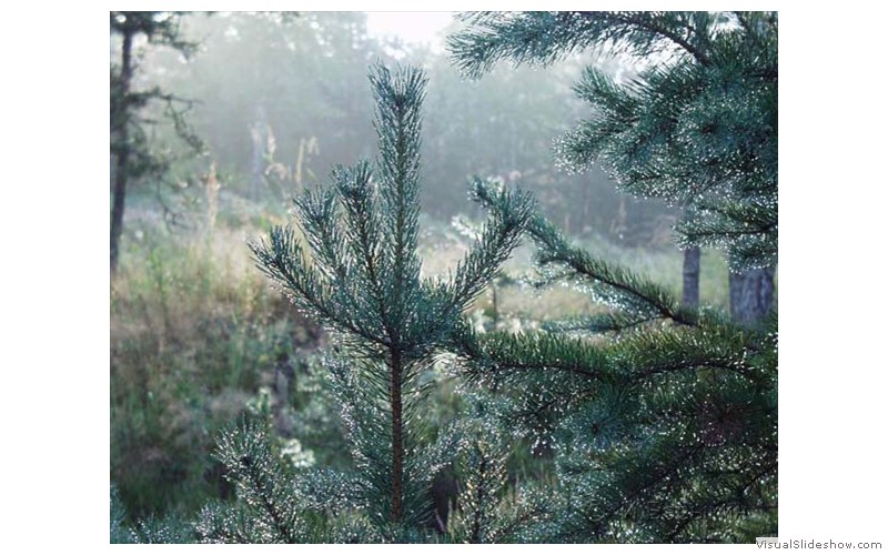 P7285310