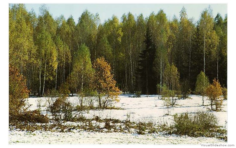 Ptz-10