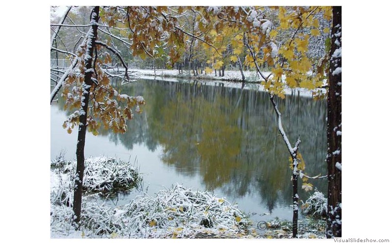 Sneg-klen064